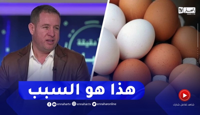 رئيس اللجنة الوطنية لشعبة الدواجن : هذا هو سبب إرتفاع أسعار البيض
