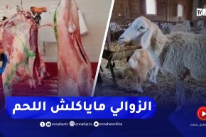 إلتهاب أسعار اللحوم الحمراء.. بين تضارب الأسباب وبحث عن حلول