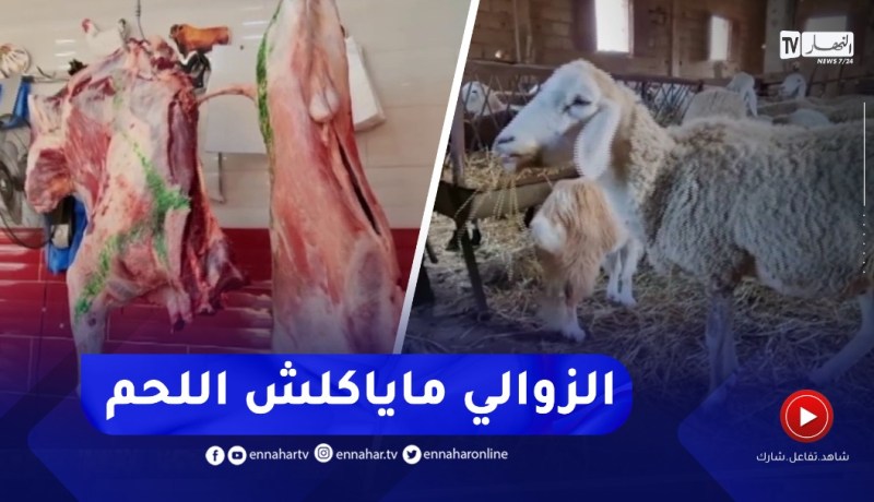 إلتهاب أسعار اللحوم الحمراء.. بين تضارب الأسباب وبحث عن حلول