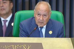 ابو الغيط: انعقاد القمة العربية جاء في وقته 