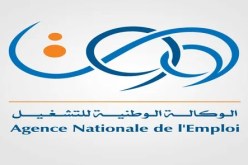 هذه حقيقة رفع مبلغ منحة البطالة