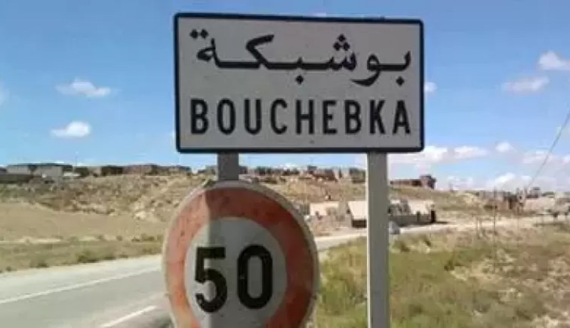 ضبط 6 أجانب بصدد اجتياز الحدود التونسية الجزائرية خلسة