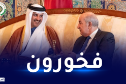 الرئيس تبون: العلاقات بين الجزائر وقطر مثالية