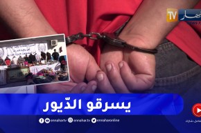 تفكيك جماعة إجـ ـرامية مختصة في سرقة المنازل بالدرارية