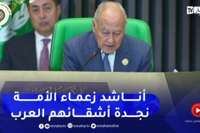 أبو الغيط: إطفاء الأزمات العربية المشتعلة أصبح واجبا أكثر من أي وقت مضى