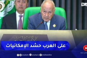 أبو الغيط: الإرهـ.اب  والميليشيات وأطراف غير عربية تحرض على تدخلات غير حميدة بغرض فرض النفوذ