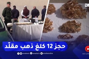 حجز 12 كلغ ذهب مقلّد و 800 مليون سنتيم بميلة