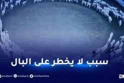 حل لغز الأغنام التي تمشي بشكل دائري منذ أسبوعين