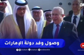 وصول وفد دولة الإمارات العربية المتحدة للجزائر