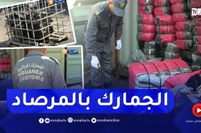 شاهد..كمية كبيرة من الألبسة،خزانات و دراجات رباعية الدفع حجزتها جمارك ميناء الجزائر