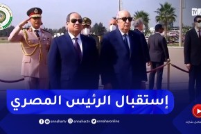 رئيس الجمهورية يستقبل الرئيس المصري عبد الفتاح السيسي