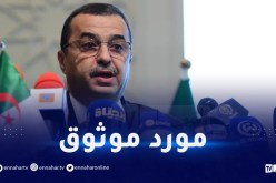 الطاقة.. الجزائر تتوفر على أكثر من 25000 ميغاواط من الكهرباء