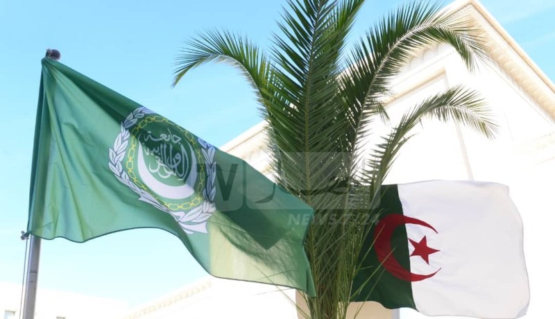 الجامعة العربية تطلق نداء عاجلا لمساعدة لبنان واليمن في التصدي لداء الكوليرا