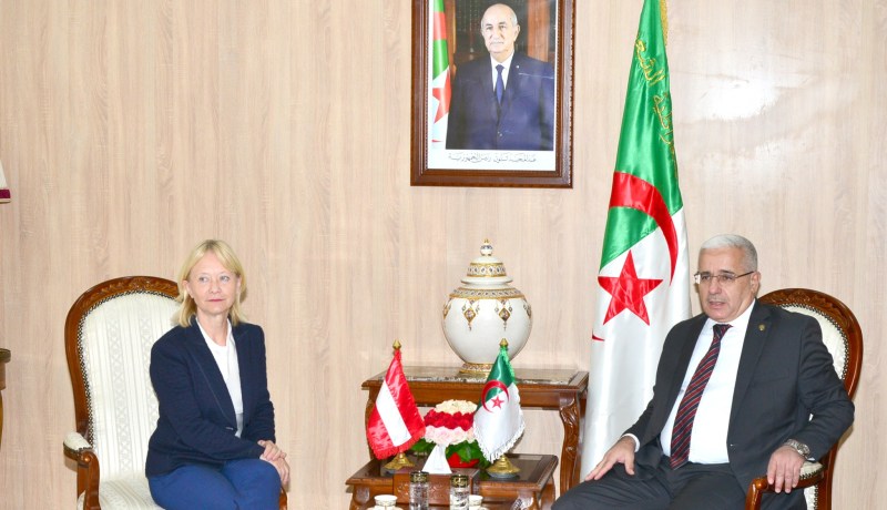 لإظهار جاذبيتها كوجهة سياحية واقتصادية.. سفيرة النمسا تدعو لفتح خط جوي مباشر مع الجزائر