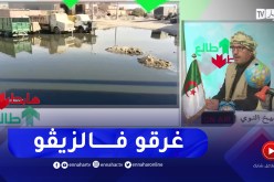 طالع هابط: سلطات برج باجي مختار تقضي على مشكل المياه القذرة و واد سوف تغرق فيها