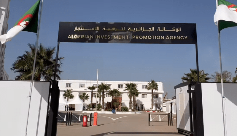 ركاش: الوكالة الجزائرية لترقية الإستثمار فاعل رئيسي لزيادة الإستثمارات