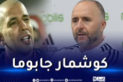 بلماضي يخرج عن صمته :” هذه هي العوامل التي وقفت ضد تأهلنا إلى المونديال”