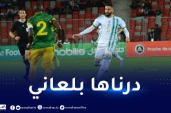 بلماضي بعد مواجهة مالي: “لا يهمني الذين يتعمّدون عدم الفهم”