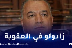 12 سنة حبسا نافذا للوزير السابق طاهر خاوة مع مصادرة الممتلكات