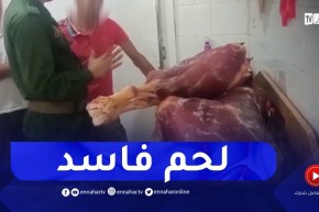 توقيف شخص و حجز أزيد من 235 كلغ من اللحوم الفاسدة بأولاد فايت