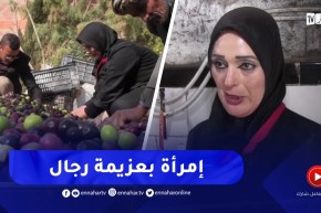 نساء تخترن العمل في معاصر الزيتون لتوفير دخل لهن ولعائلتهن