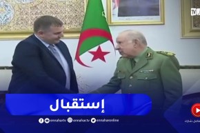 السعيد شنقريحة يستقبل مدير الشركة الصربية يوغوأمبورت