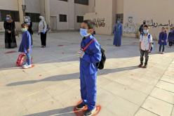 بكتيريا “شيغيلا” تعود إلى تونس