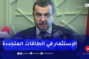 “وزير الطاقة :” ضرورة إنشاء إطار مناسب لترقية السوق والإسثتمار في الطاقات المتجددة