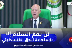 قيس سعيد: لن يكون وئام إلا بإستعادة الحق الفلسطيني الذي لن يسقط بالتقادم وإقامة دولة حرة مستقلة