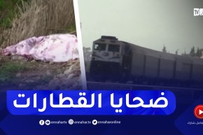 حوادث الدهـ ـس بالقطارات في عين الدفلى تـ ـرعب السكان المجاورين للسكك الحديدية