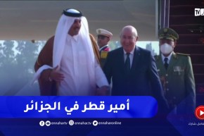 أمير دولة قطر يحلّ بالجزائر