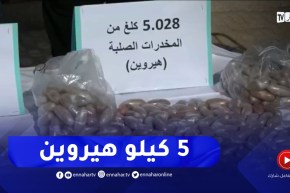 حجز 5.5 كلغ من الهيروين والكوكايين وتوقيف 7 أشخاص 6 منهم أفارقة يقيمون بطريقة غير شرعية