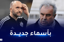 فرقاني: “بلماضي يملك الوقت الكافي للتحضير لكأس أمم إفريقيا”