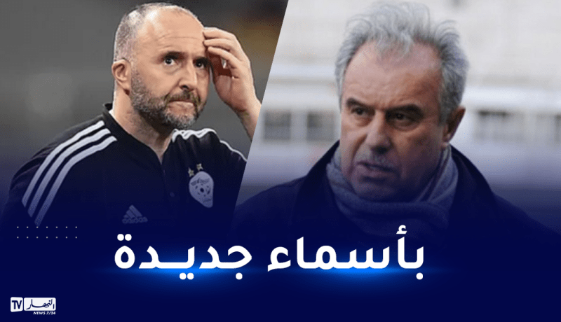 فرقاني: “بلماضي يملك الوقت الكافي للتحضير لكأس أمم إفريقيا”