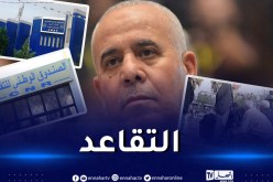 وزير العمل: هكذا يتم إحتساب التقاعد