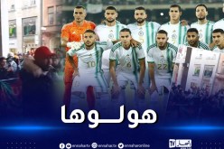 بالفيديو.. الجالية الجزائرية تصنع الحدث قبل ودية الخضر ومنتخب السويد