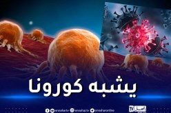 إكتشاف فيروس جديد “BtSY2” في خفافيش بالصين