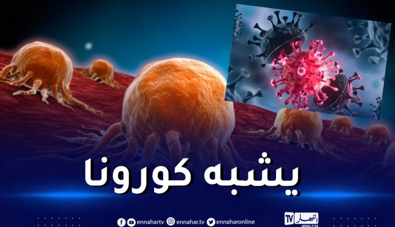 إكتشاف فيروس جديد “BtSY2” في خفافيش بالصين