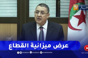 وزير الداخلية يعرض تقديرات الميزانية الخاصة بتسيير قطاعه على لجنة المالية