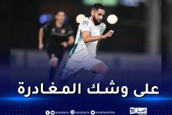 بودبوز يتسبّب في قطيعة بين جمهور الأهلي السعودي والمدير الفني