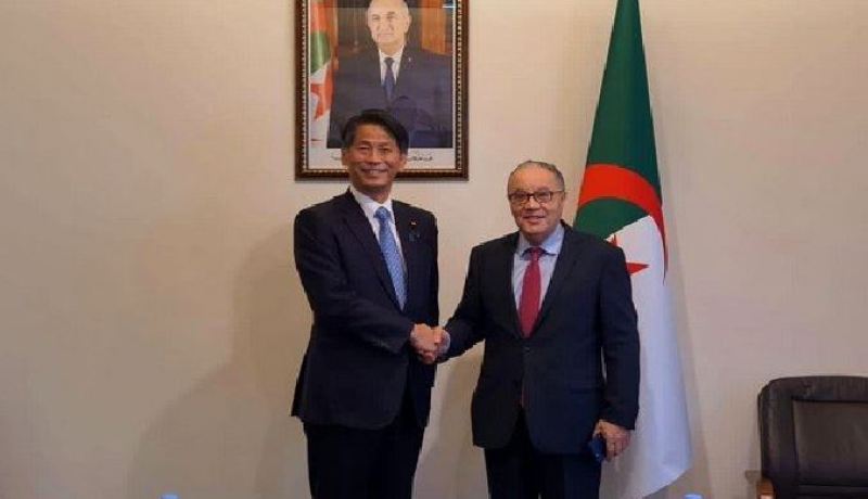 الوزير المنتدب بالخارجية اليابانية يؤكد على دعم بلده للحل السياسي لملف الصحراء الغربية