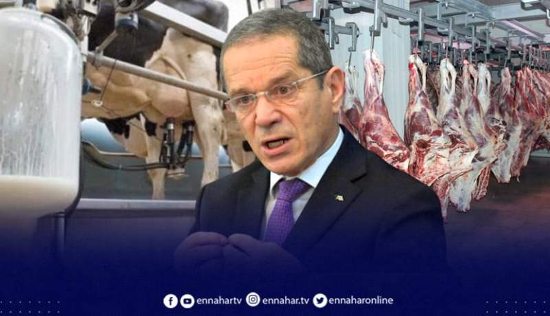 وزارة الفلاحة تتخذ إجراءات هامة لتنظيم شعبة الحليب واللحوم الحمراء