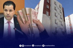 إطلاق برنامج سكني جديد عبر 29 ولاية..  وأزيد من 241 الف إعانة للسكن لهذه الفئة