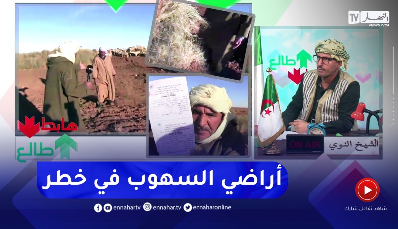 الشيخ النوي: موالون بسعيدة يناشدون رئيس الجمهورية والسبب تجريد أراضي السهوب من الحشائش والنباتات