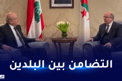 الوزير الأول يلتقي رئيس الحكومة اللبنانية