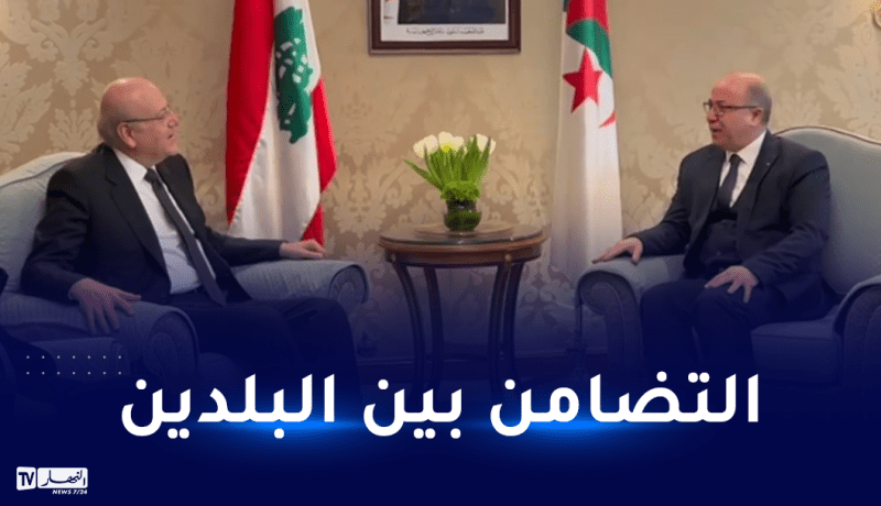 الوزير الأول يلتقي رئيس الحكومة اللبنانية