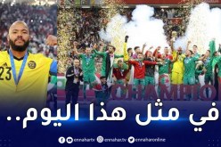 في ليلة تتويج الأرجنتين.. الفاف تستذكر اللقب العربي