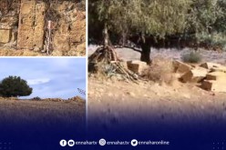 الشلف: اللجنة المكلفة بجرد المواقع الأثرية تحط الرحال بمجاجة