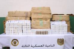 الجيش يوقف 61 تاجر مخدرات ويحجز 11 قنطار “زطلة” قادمة من المغرب