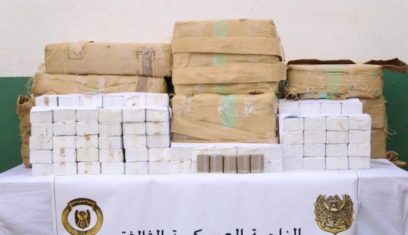 الجيش يوقف 61 تاجر مخدرات ويحجز 11 قنطار “زطلة” قادمة من المغرب